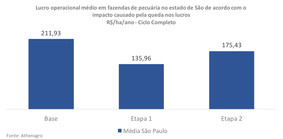 Figura 5. Evolução dos resultados nos três momentos analisados